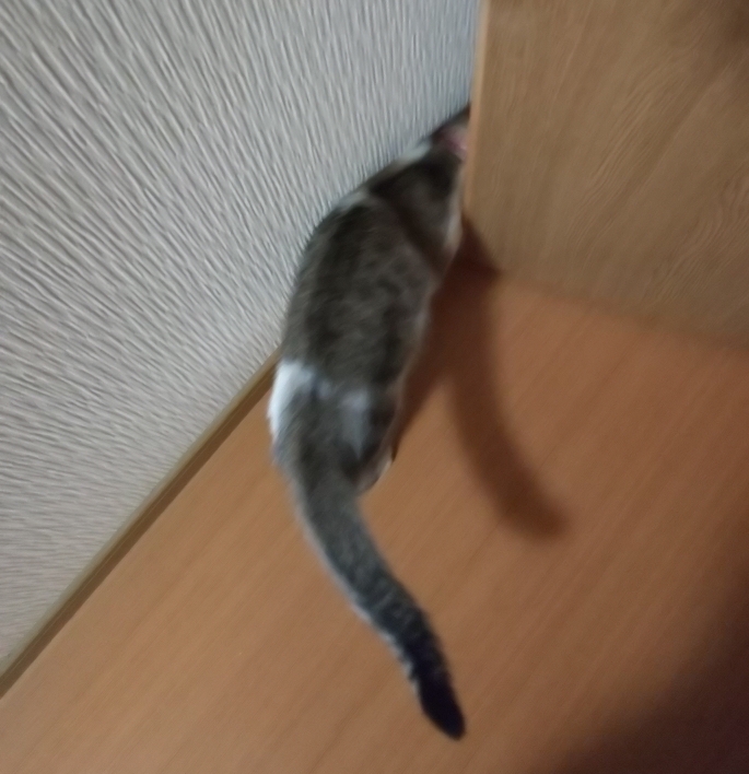 N-ONEのてつやんさんが投稿したカスタム事例の投稿画像12枚目