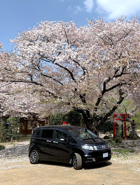 フリードスパイクの医療従事者に感謝・孫を乗せました🧚‍♀️🥰・撮りダ〜メ　🙇‍♂️・HONDA The Power of Dreams・マイカーガレージも見てねに関するカスタム事例の投稿画像3枚目