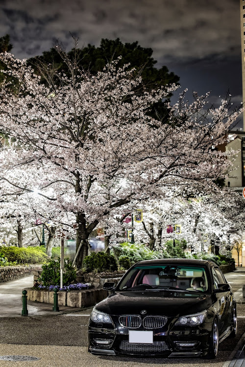 525iハイラインのdiscover＿ct・discover_ct・桜とコラボ🌸・夜桜・さくら狩りに関するカスタム事例の投稿画像1枚目
