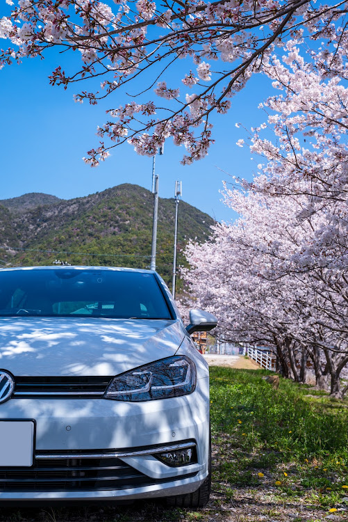 ゴルフの桜・海・空・晴天・気まぐれドライブに関するカスタム事例の投稿画像4枚目