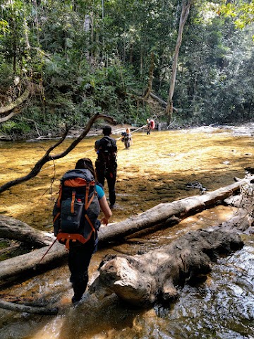 Gunung Tahan River Crossings