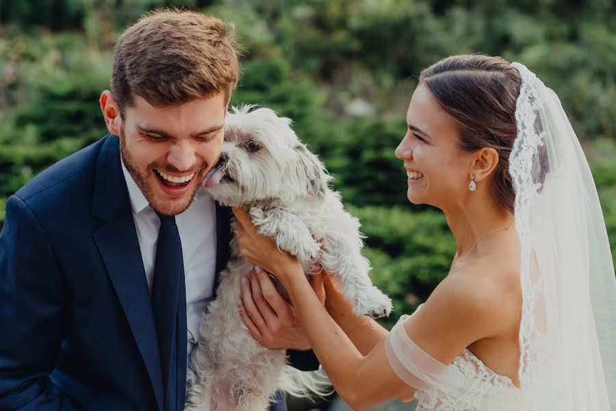 Fotógrafo de casamento Dawid Miarka (dawidmiarka). Foto de 25 de fevereiro 2020