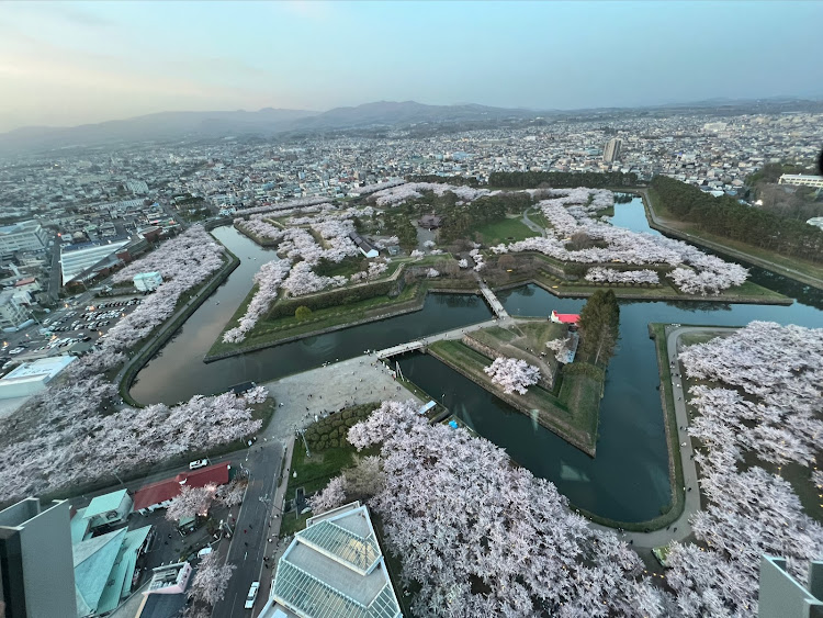ハイエースバンの桜・桜が散る前に・夜桜ライトアップ・函館観光・GWに関するカスタム事例の投稿画像1枚目