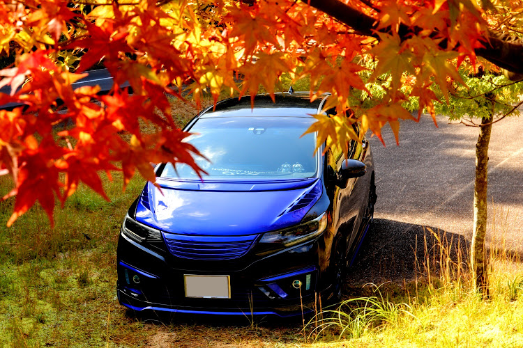 フィットの室生もみじ公園・紅葉コラボ・紅葉と愛車・紅葉狩り🍁🍂に関するカスタム事例の投稿画像10枚目