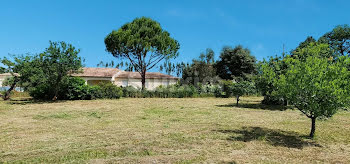 terrain à batir à Saint-Paul-Trois-Châteaux (26)