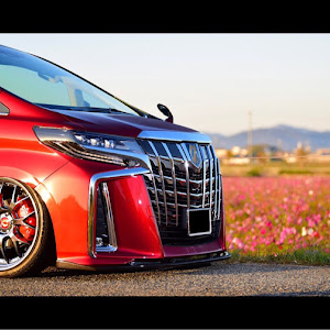 アルファード AGH30W