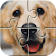 Dogs Jigsaw Puzzles icon