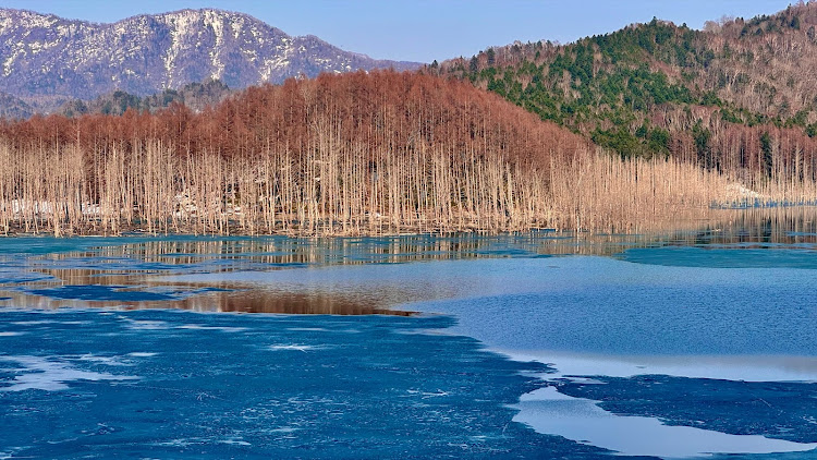 の投稿画像5枚目