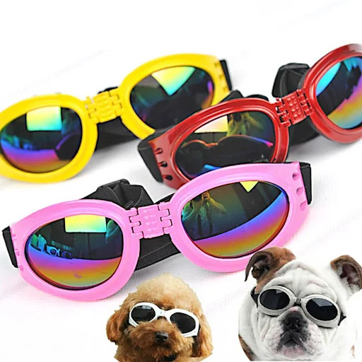 Pet Dog Outdoor Sunglasses Summer Windproof Foldable Sunscreen Anti-Uv Goggles Pet Supplies Pets Photos Props Accessorie
