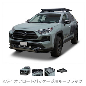 RAV4 MXAA54