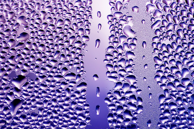 purple rain di RobertaSilvestro