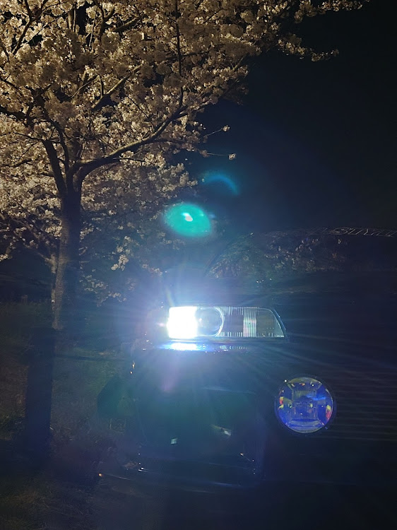 スカイラインの4月もよろしくお願い致します🌸・スカイライン・hcr32・桜・R32スカイラインに関するカスタム事例の投稿画像2枚目