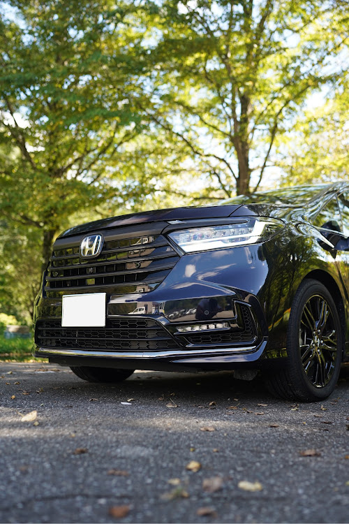 オデッセイのしんさんが投稿したカスタム事例の投稿画像2枚目