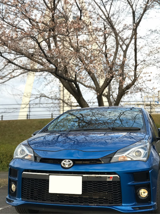 ヴィッツの桜とコラボに関するカスタム事例の投稿画像1枚目