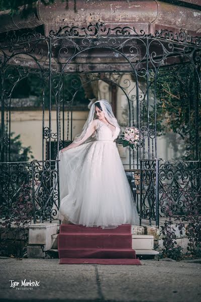 Fotografo di matrimoni Igor Markovic (igmarkovic). Foto del 21 marzo 2019