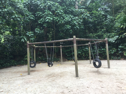 Big Tyre Swing