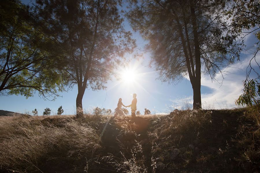 結婚式の写真家Alina Zardo (zardoalina)。2015 2月5日の写真