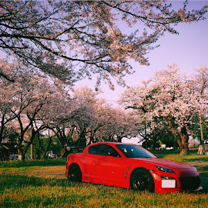 RX-8 SE3P