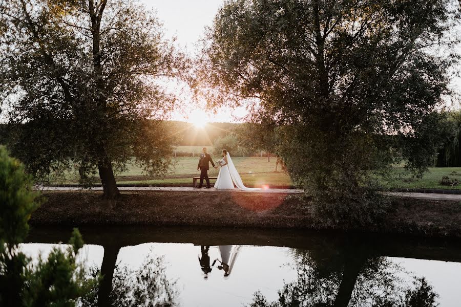 Fotografo di matrimoni Patrik Vámosi (vamosipatrik). Foto del 12 marzo