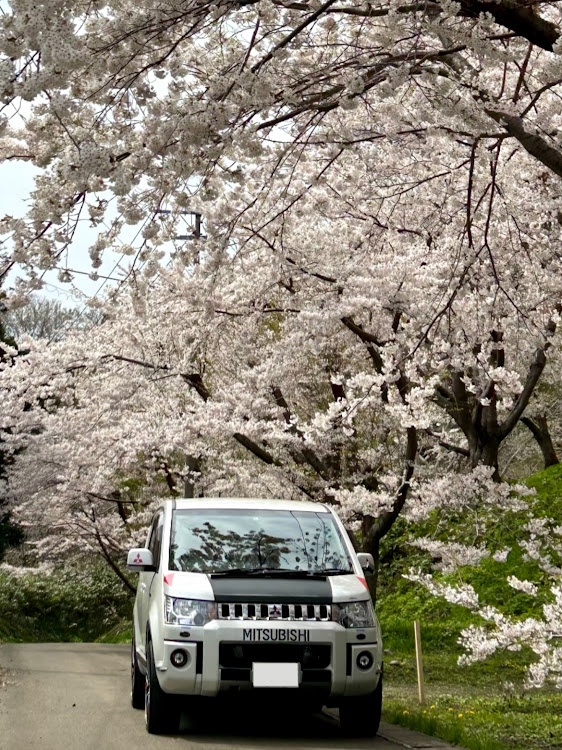 白い車さんが投稿した三菱自動車ファンの集い・三菱自動車魅力D5・今年の桜の下で・お花見ドライブ🌸に関するカスタム事例の投稿画像1枚目
