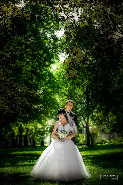 Vestuvių fotografas Andrey Vishniveckiy (cherry). Nuotrauka 2016 vasario 5