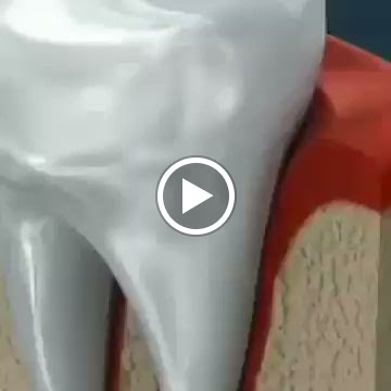 Expert dental care — business photo 6