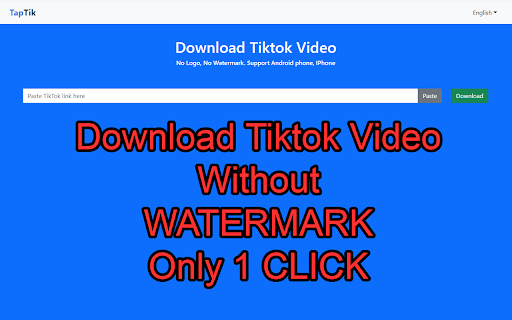 Tiktok Video Downloader