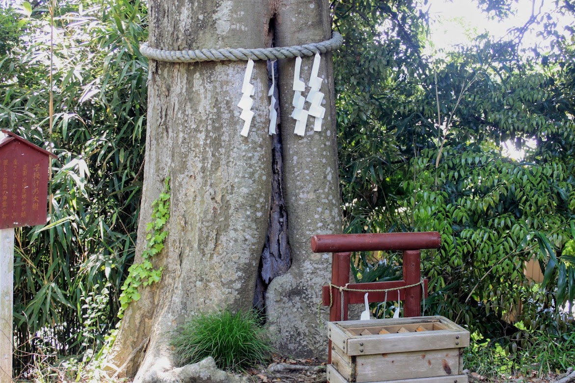 魂生神社 千葉県栄町 神様が巨大な アレ で男として敗北感 御朱印あり 穴場の神社とお寺へ御朱印巡り