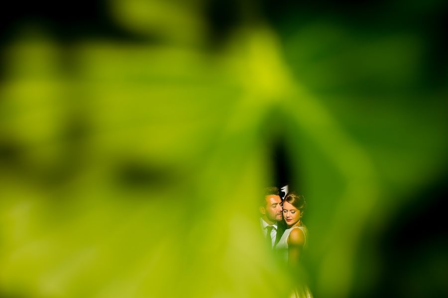 Photographe de mariage Chomi Delgado (chomidelgado). Photo du 24 octobre 2017