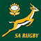 Item logo image for Springboks