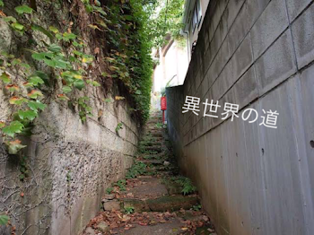 異世界の道