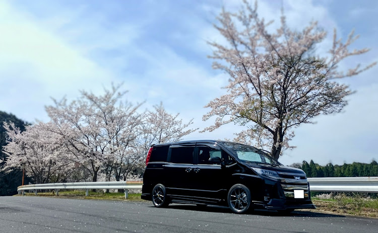 ノアのサクラと愛車・BBS RI-A・ALPINE STYLE・ガナドールマフラーに関するカスタム事例の投稿画像5枚目