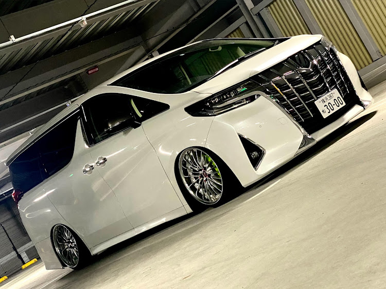 アルファードのワークホイール・ワークシュバートレグニッツ・workwheels・フェンダーポールに関するカスタム事例の投稿画像1枚目