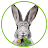 Dein Kaninchen Kräuterguide icon