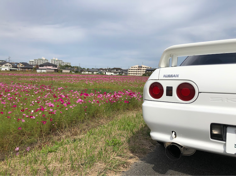 スカイライン GT-RのDさんが投稿したカスタム事例の投稿画像2枚目