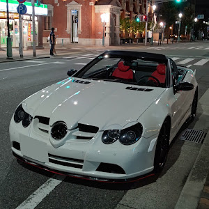 SL SL500