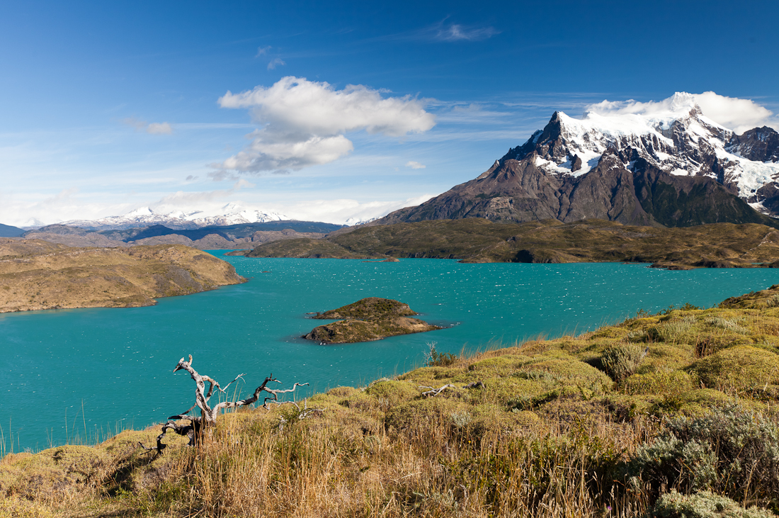 Патагония: Carretera Austral - Фицрой - Торрес-дель-Пайне. Треккинг, фото.