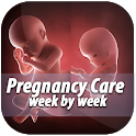 Pregnancy Care Week by Week