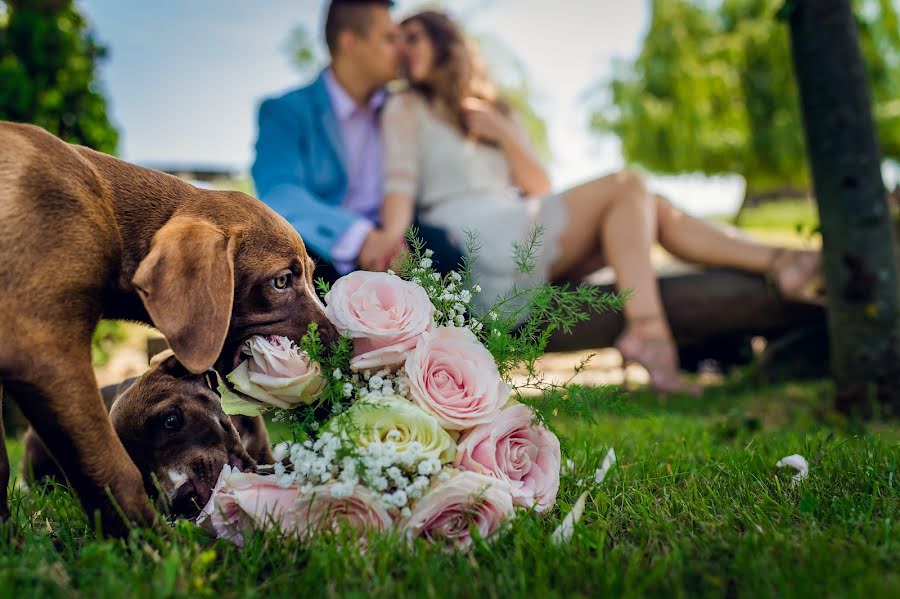 Fotografo di matrimoni Marius Dragan (dragan). Foto del 25 maggio 2015