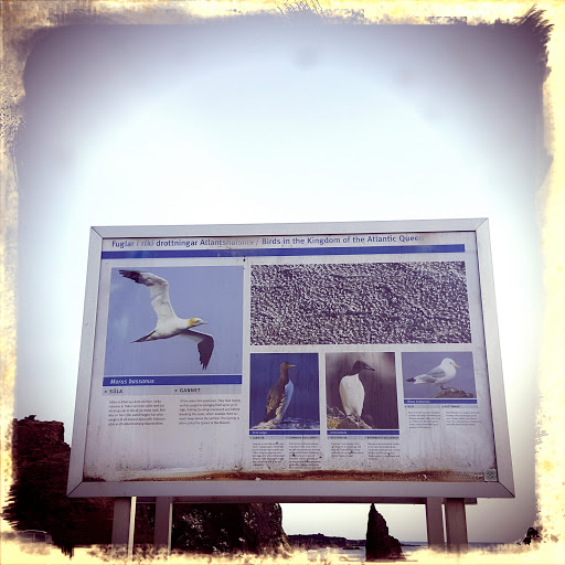 Sea Bird Information Sign