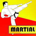 Learn Martial Arts