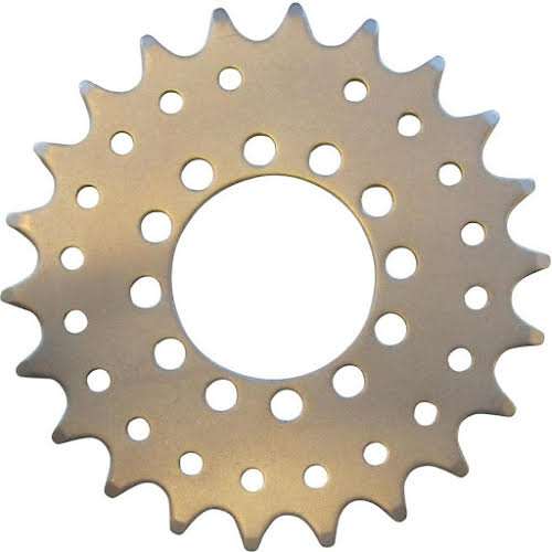 Gusset Disc Mount Fixed Conversion Cog 20t