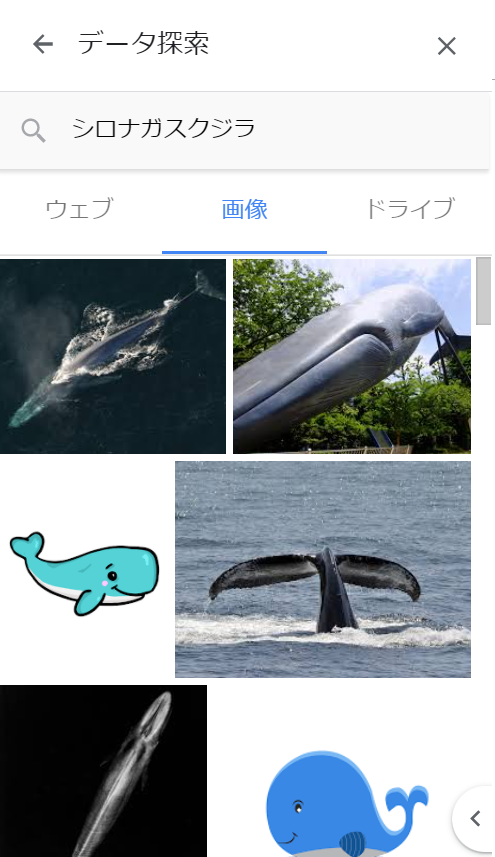 データ探索からの画像