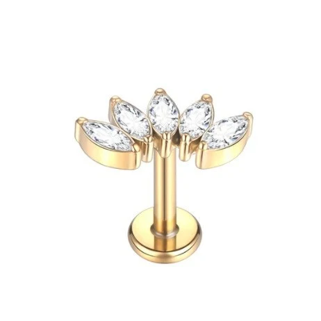 Crown oorknopjes van puur titanium met interne schroefdraad, kettinghanger, labret piercing en klaverblad oorbel.
