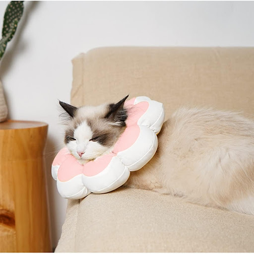 Title 2, Cat Recovery Cone Collar Pet E-Collar Elizabeth...
