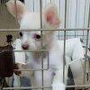 ユーザー