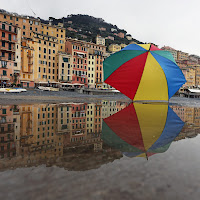 Riflesso di Camogli