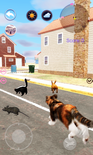 Screenshot Talking Cat