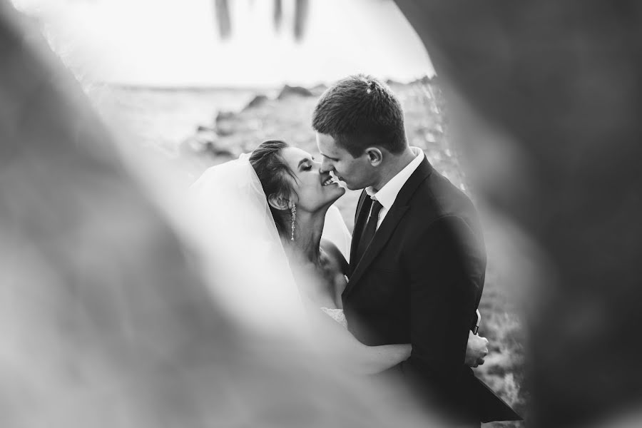 Photographe de mariage Denis Stepanyuk (stepanyuk). Photo du 10 novembre 2016