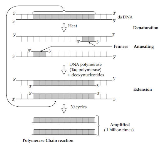 Solution Image